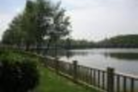 SALONES VICTORIA - photo 3