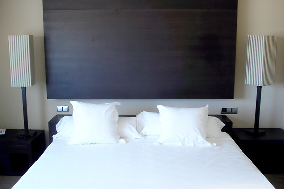 HOTEL PAGO DEL VICARIO - photo 0