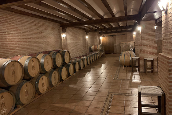 BODEGAS Y VIÑEDOS PEDRO GARCIA - photo 6