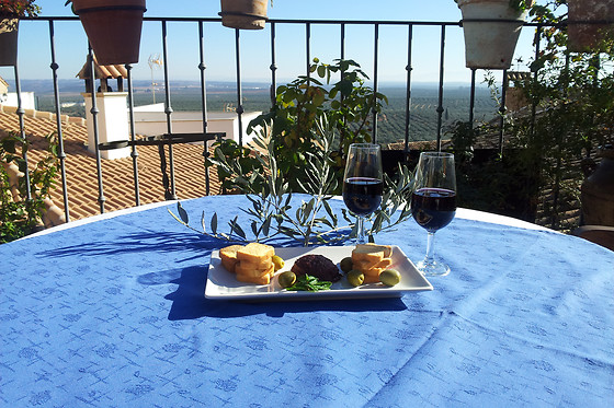 HOTEL RURAL PALACIO GUZMANES - photo 8