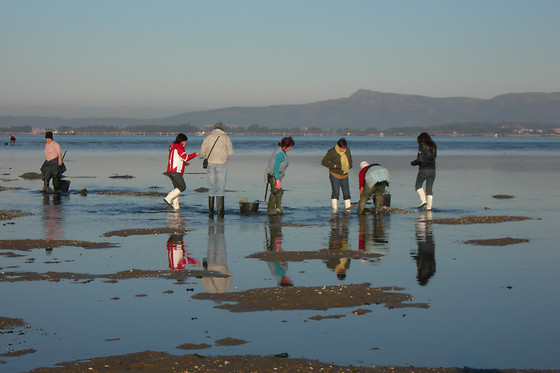 ASOC. CULT. MULLERES DO MAR DE CAMBADOS GUIMATUR (GUIMATUR) - photo 2