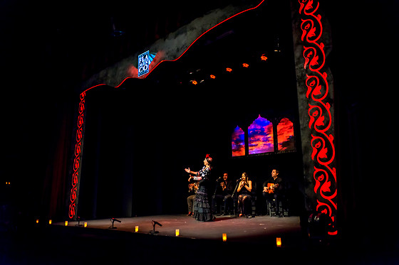 TEATRO FLAMENCO MADRID - photo 3
