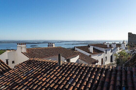 Ervideira Wine - photo 4
