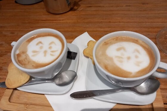 Chez Miss Miaouw - photo 4