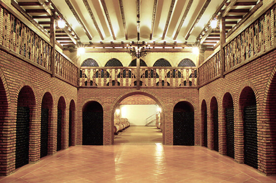 PAGO DE LA JARABA - photo 2