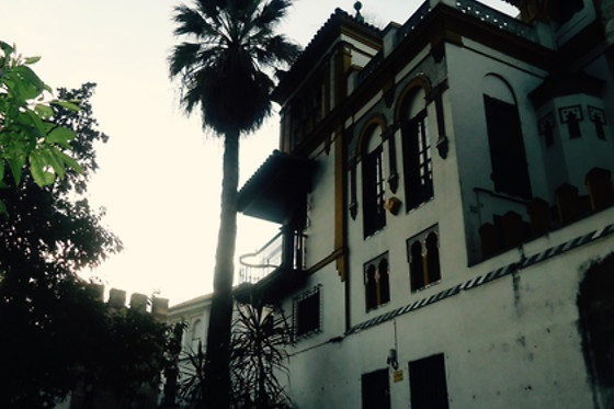 SEVILLA 365 - photo 0