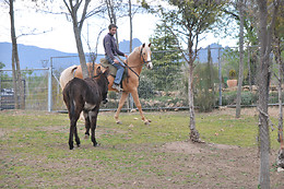 FINCA PARAÍSO