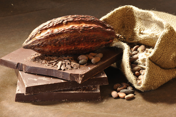 A la Reine Astrid - photo 4
