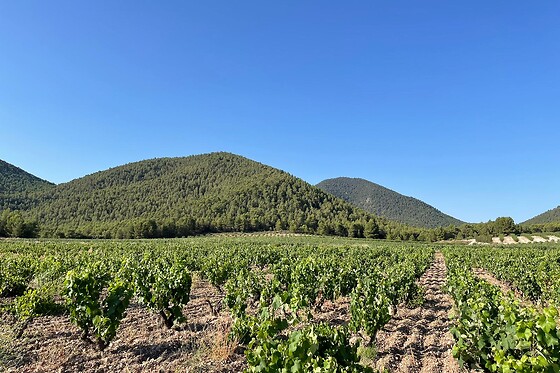 BODEGA EL SESEO - photo 0