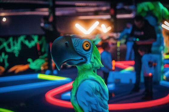 MI12 Fun Center Gembloux - photo 12