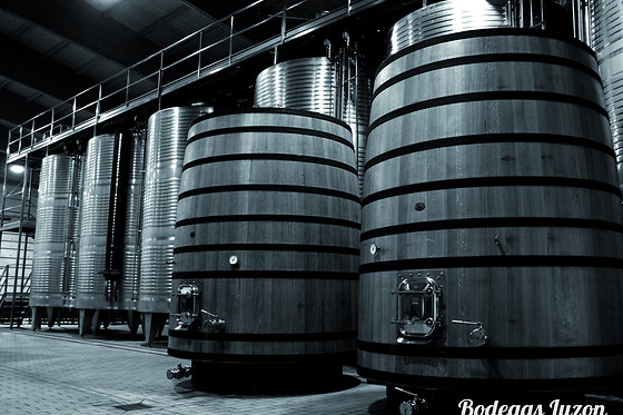 BODEGAS LUZON - photo 3