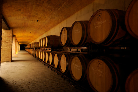 BODEGAS LUZON - photo 7