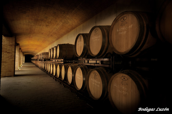 BODEGAS LUZON - photo 9