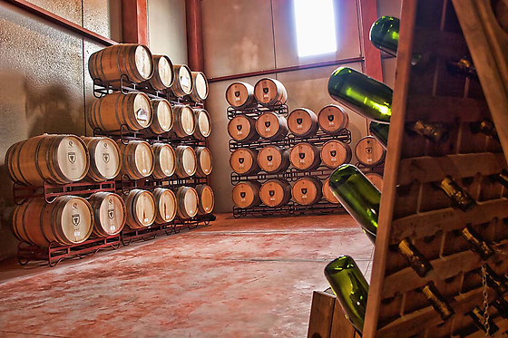 BODEGAS BOCOPA - photo 0