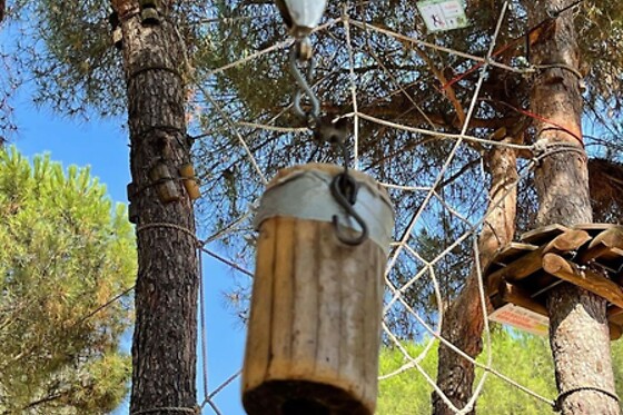 AVENTURA TORRELINO - photo 2