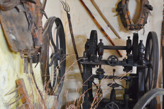 CELLER CAL MENESCAL - photo 1