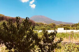 Villa Mazza al Vesuvio
