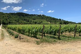 Azienda Agricola Astone