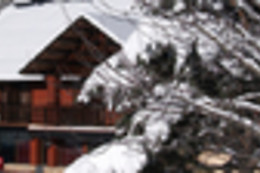 HOTEL L'AVET DEL PORT DEL COMTE