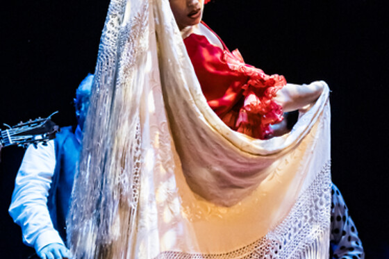 TEATRO FLAMENCO GRANADA - photo 13