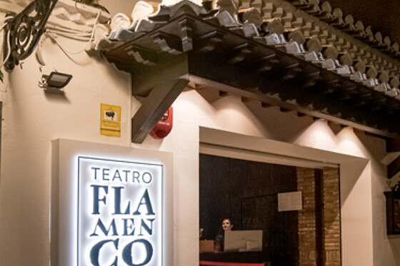 TEATRO FLAMENCO GRANADA - photo 12