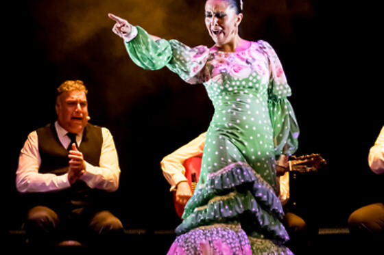 TEATRO FLAMENCO GRANADA - photo 9