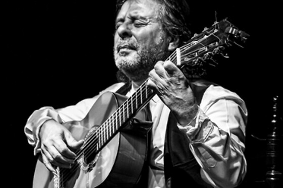 TEATRO FLAMENCO GRANADA - photo 10