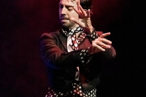 TEATRO FLAMENCO GRANADA - photo 11
