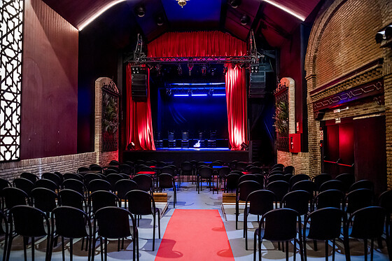 TEATRO FLAMENCO GRANADA - photo 4