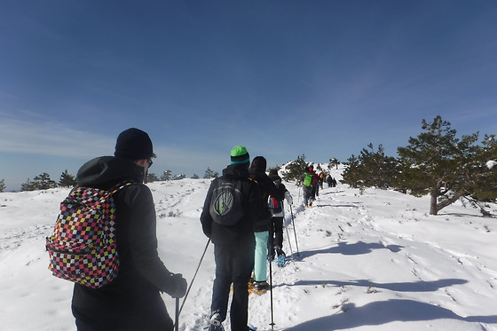 PLANETSPORT MULTIAVENTURA - photo 0