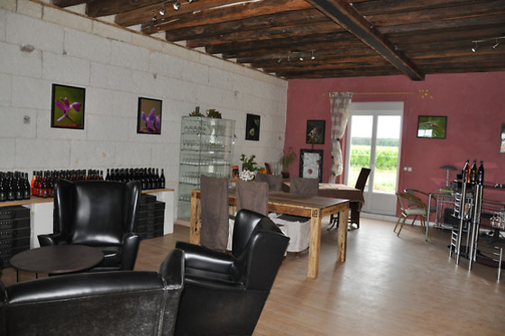 Les Pierres d'Aurèle - photo 9