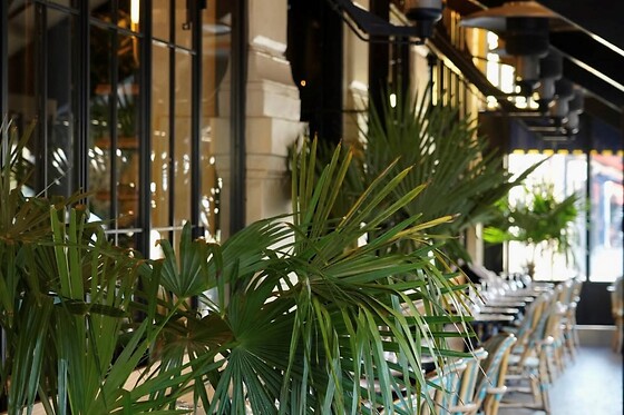 Mon Coco - photo 5