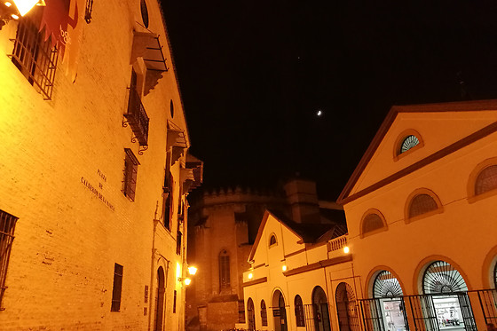 CONOCER SEVILLA - photo 5