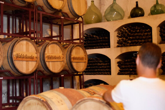 BODEGA DEL NERO - photo 0