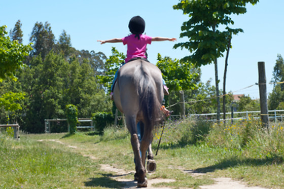 ESCOLA EQUESTRE D´AVEIRO - photo 1