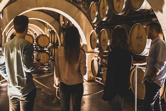 BODEGAS LUZON - photo 1