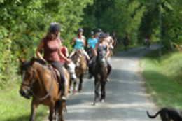 Un Poney, une histoire