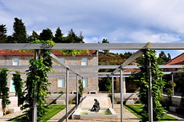 BODEGA PAZO BAIÓN