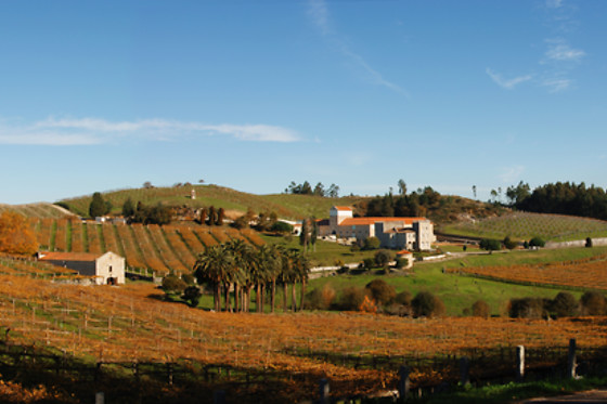BODEGA PAZO BAIÓN - photo 6