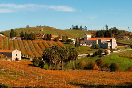 BODEGA PAZO BAIÓN - photo 0