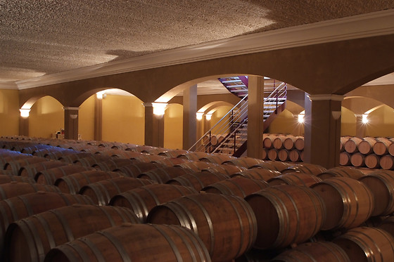BODEGAS ROMALE - photo 4