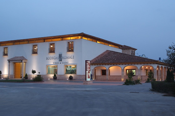BODEGAS ROMALE - photo 0