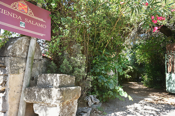 Villa Leona - photo 2