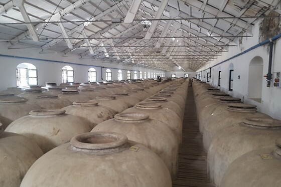 BODEGAS PEREZ BARQUERO - photo 3