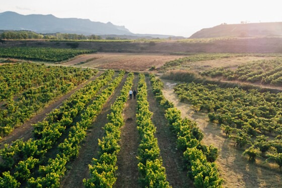 BODEGAS SANTALBA - photo 1