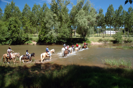 CABALLOS DE LA ARLANZA - photo 3