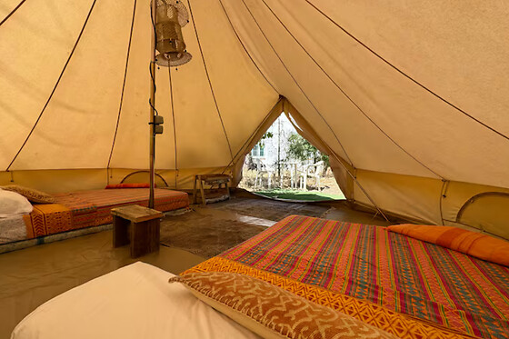 GLOBAL TRIBE BIODYNAMIC ECOVILLAGE - photo 2