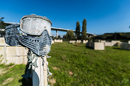 Paradise Paintball