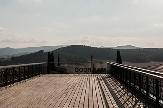 MAS RODO VITIVINICOLA - photo 8