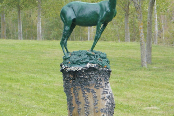 CASA RURAL DO GUIEIRO - photo 7